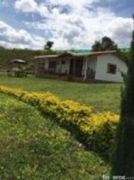 Guayacanes - Finca, Curití, Santander